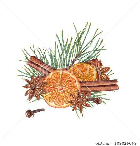 Dried ripe orange slices, star anise, cinnamon sticks, cloves, pine sprig. Badian, spruce, citrus. Winter composition of aromatic spices. Watercolor illustration for greeting, package, postcard 108029668