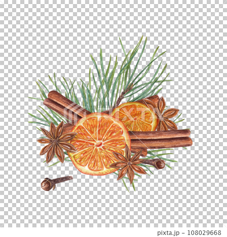 Dried ripe orange slices, star anise, cinnamon sticks, cloves, pine sprig. Badian, spruce, citrus. Winter composition of aromatic spices. Watercolor illustration for greeting, package, postcard 108029668