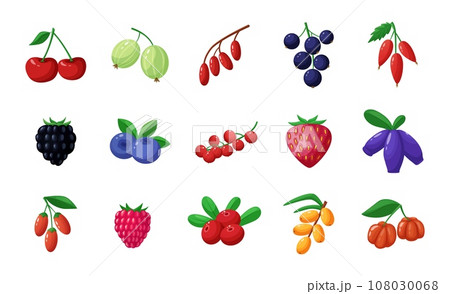 Cartoon wild garden berries. Gooseberries, strawberries and blueberries and blackberries. Harvest agriculture berry, sweet desserts nowaday vector set Cartoon wild garden berries. Gooseberries, strawberries and blueberries and blackberries. Harvest agriculture berry, sweet desserts nowaday vector set 108030068