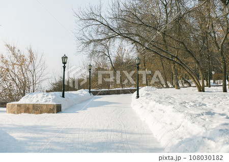 Snowy winter public park in city. Snowy walking path and frost trees. Cold season concept 108030182