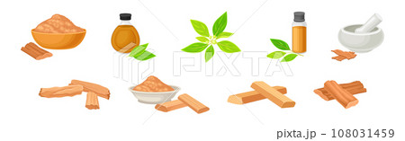 Sandalwood Tree Plant Branch with Timber and Oil Jar Vector Set 108031459