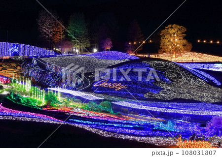 【香川県】冬の国営讃岐まんのう公園 (イルミネーション) 【香川県】冬の国営讃岐まんのう公園 (イルミネーション) 108031807
