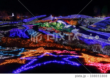 【香川県】冬の国営讃岐まんのう公園 (イルミネーション) 【香川県】冬の国営讃岐まんのう公園 (イルミネーション) 108031808