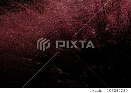 ミューレンベルギア 108033289