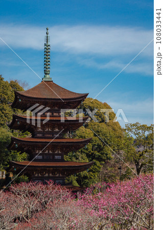 青空に映える冬の瑠璃光寺、五重塔 青空に映える冬の瑠璃光寺、五重塔 108033441