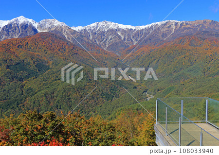 秋の白馬岩岳マウンテンリゾートから望む北アルプス 108033940