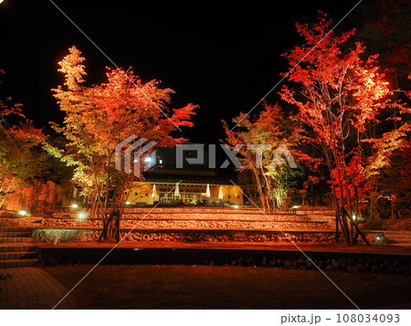 紅葉の草津温泉　裏草津（地蔵エリア）の夜景 108034093