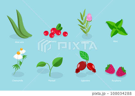 3D Isometric Flat Vector Set of Medical Herbs And Berries 3D Isometric Flat Vector Set of Medical Herbs And Berries 108034288