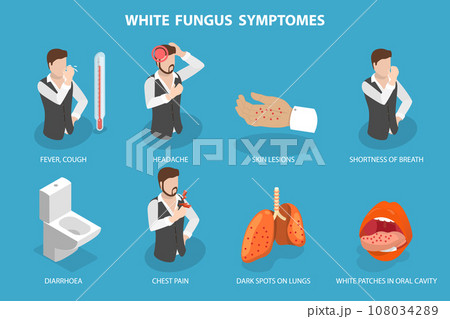 3D Isometric Flat Vector Illustration of White Fungus 108034289