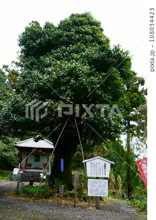 5161　坂東観音霊場第9番札所　慈光寺 108034423
