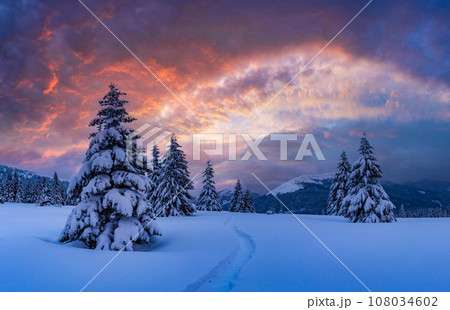 Incredible landscape with snow-covered conifers Incredible landscape with snow-covered conifers 108034602