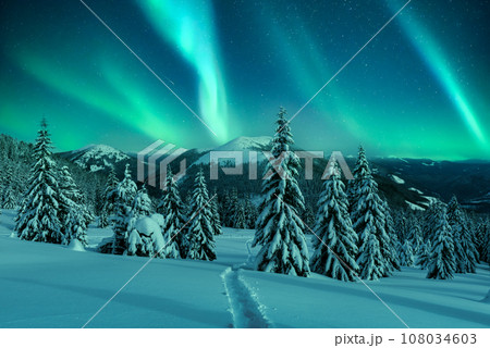 Northern lights in winter forest Northern lights in winter forest 108034603