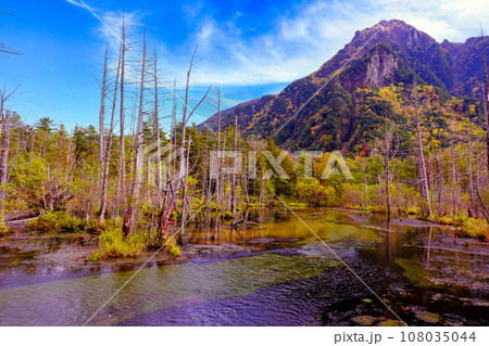 紅葉の岳沢湿原 108035044