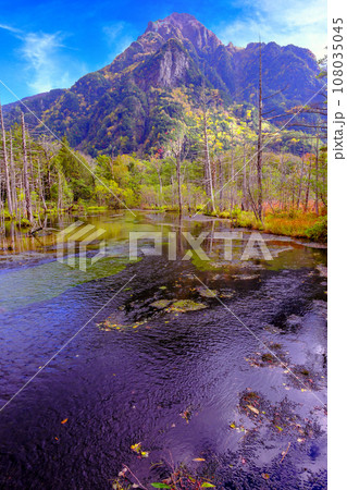 紅葉の岳沢湿原（縦） 108035045