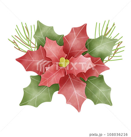 Poinsettia 108036216