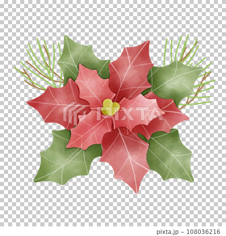 Poinsettia 108036216
