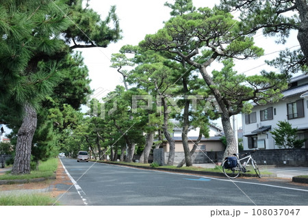 旧東海道、舞坂宿松並木 108037047