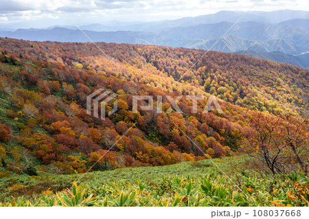 森吉山秋の絶景 秋田県 森吉山秋の絶景 秋田県 108037668