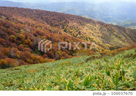 森吉山秋の絶景　秋田県 108037670