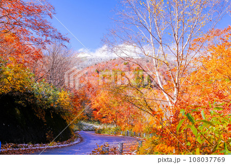 紅葉と笠ヶ岳 108037769