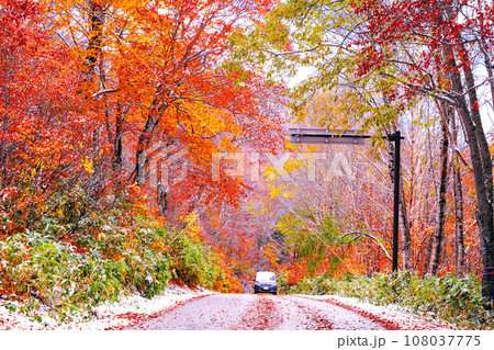 雪と紅葉の坤六峠 108037775