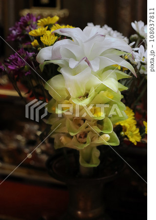 秋ウコンの花 仏壇の供え花 108037811