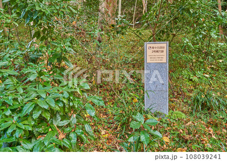 秋の東京都世田谷区の等々力渓谷公園の等々力渓谷2号横穴跡 108039241