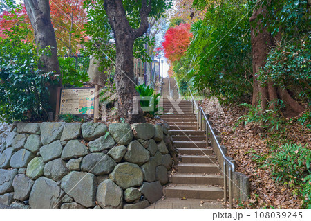 秋の東京都世田谷区の等々力渓谷から日本庭園入口へ向かう石段 108039245