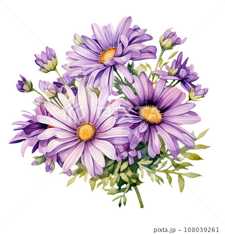 Purple Daisy Bouquet Floral Watercolor Clipart isolated on Transparent Background. Purple Daisy Bouquet Floral Watercolor Clipart isolated on Transparent Background. 108039261