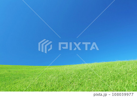 爽やかな夏の青空と新緑の草原風景 108039977