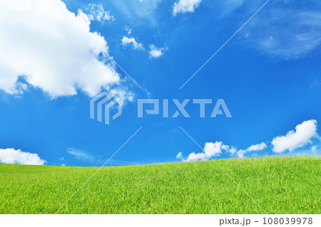 爽やかな夏の青空と新緑の草原風景 108039978