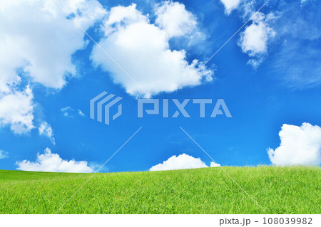 爽やかな夏の青空と新緑の草原風景 爽やかな夏の青空と新緑の草原風景 108039982
