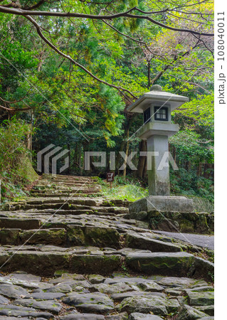 熊野古道　大門坂の石畳（和歌山県那智勝浦町） 108040011