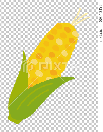 Handwritten vector illustration of corn/food/carbohydrate Handwritten vector illustration of corn/food/carbohydrate 108040359