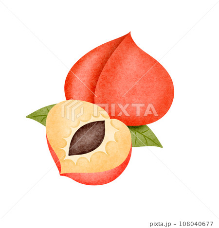 Cute peaches 108040677