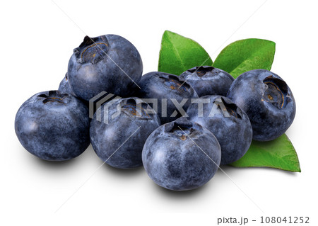ブルーベリー 108041252