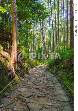 熊野古道の古い石畳　三軒茶屋－祓殿王子間（和歌山県田辺市本宮町） 108041995
