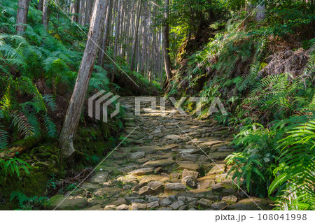 熊野古道の古い石畳　三軒茶屋－祓殿王子間（和歌山県田辺市本宮町） 108041998