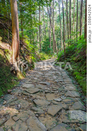 熊野古道の古い石畳　三軒茶屋－祓殿王子間（和歌山県田辺市本宮町） 108042024