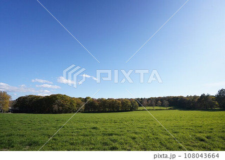 秋晴れの牧草地 秋晴れの牧草地 108043664