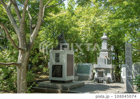 伝通院　浄土宗  無量山  寿経寺  傳通院　東京都文京区小石川 108045074