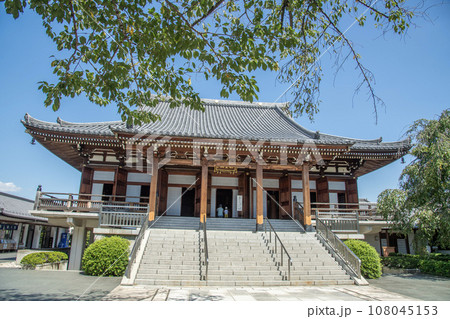 伝通院 東京都文京区小石川 伝通院 東京都文京区小石川 108045153