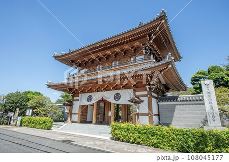 伝通院　東京都文京区小石川 108045177