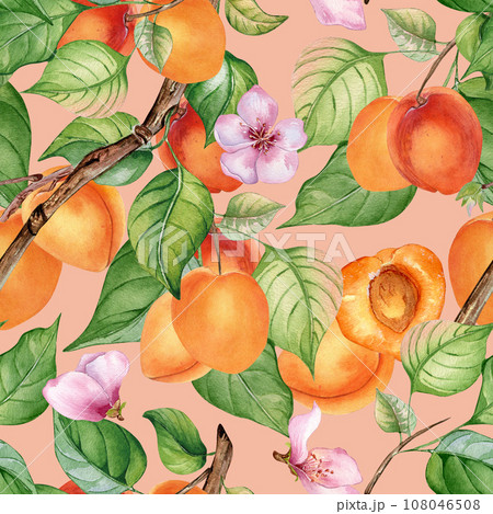 Watercolor seamless pattern of branch with apricot, green leaves isolated on pink. Painting fruit tree, fruitage hand drawn. Design element for card, package, poster, label jam, cosmetic, juice, oil 108046508