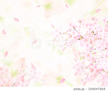 薄いピンク色の桜の花と花びら舞い散るクローズアップ背景素材イラスト 薄いピンク色の桜の花と花びら舞い散るクローズアップ背景素材イラスト 108047068