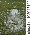 Waterfall  108047199