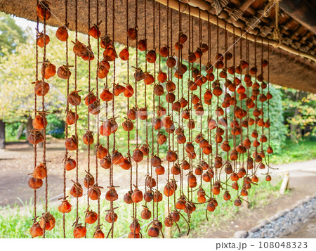 農家の軒下に吊るされた秋の干し柿 108048323