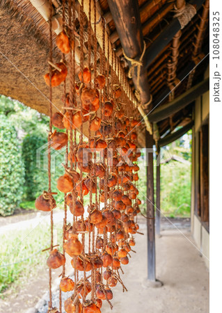 農家の軒下に吊るされた秋の干し柿 108048325