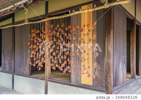 農家の軒下に吊るされた秋の干し柿 108048326