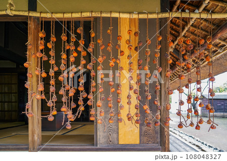 農家の軒下に吊るされた秋の干し柿 108048327